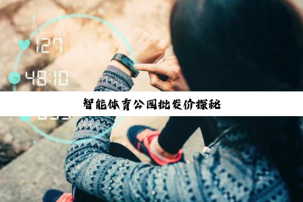 智能体育公园批发价探秘