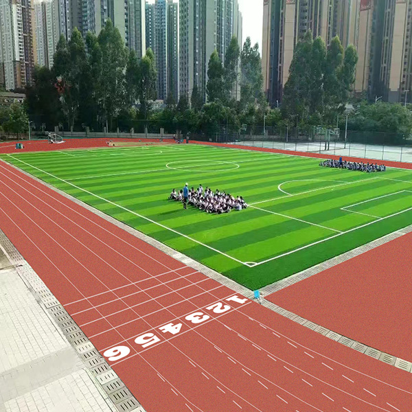 深圳市南湾学校 深圳市南湾学校