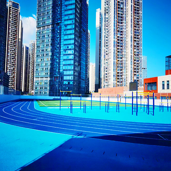 深圳大学坂田附属学校